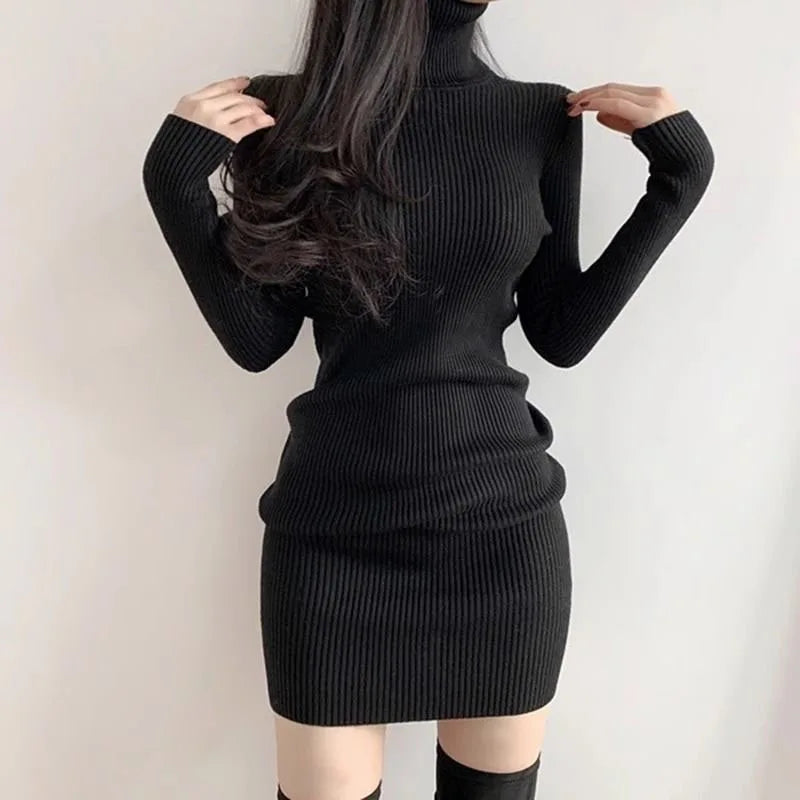 Amelia Turtleneck Sweater Dress