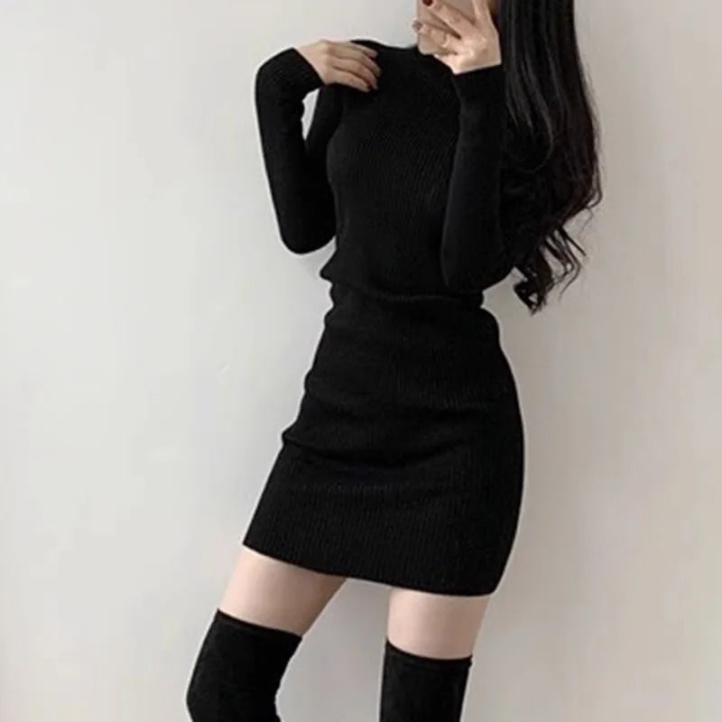 Amelia Turtleneck Sweater Dress