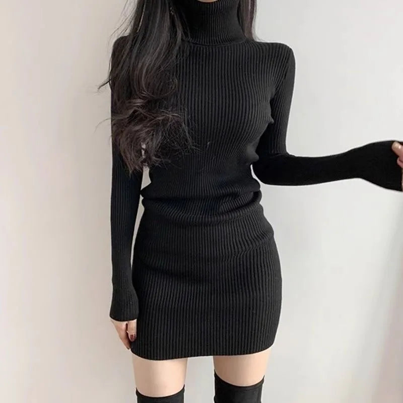 Amelia Turtleneck Sweater Dress